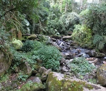 Quetzal Trail photo 14